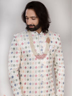 Raxon Pastel Multi-Thread Indo Western